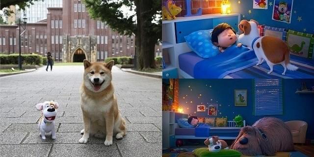 人気犬・柴犬まるがハリウッドデビュー！「ペット2」に“特別出演” : 映画ニュース - 映画.com