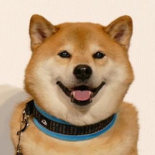 画像14
