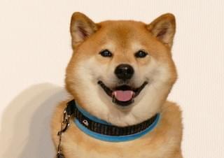 画像13