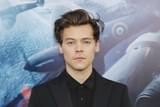 ハリー・スタイルズ、実写版「リトル・マーメイド」出演を固辞