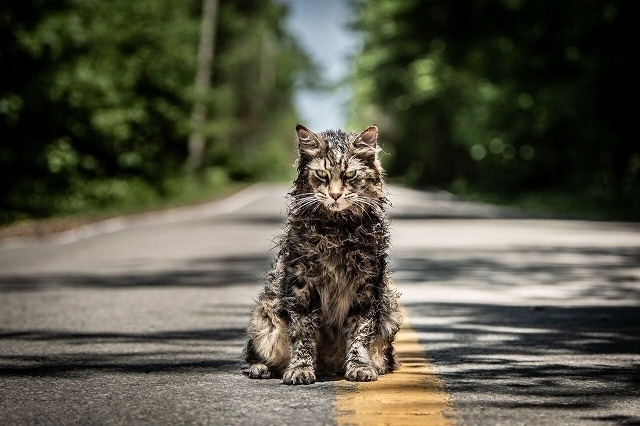 凶暴化した猫、豹変した娘…S・キング原作の“禁忌”ホラー「ペット・セメタリー」予告公開 - 画像3