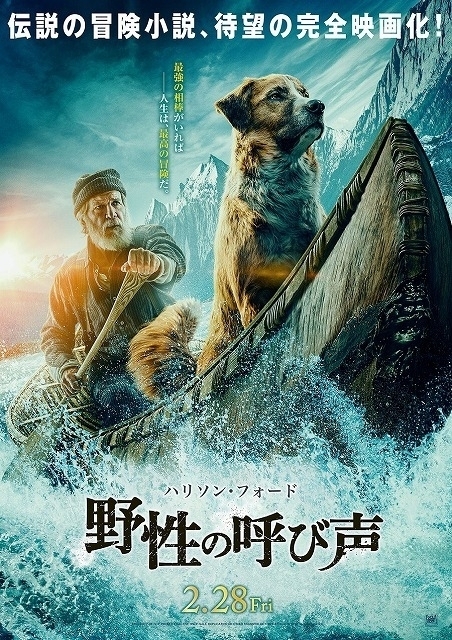 H フォード主演のディズニー実写映画 年2月公開 アラスカを旅する男と犬の冒険物語 映画ニュース 映画 Com