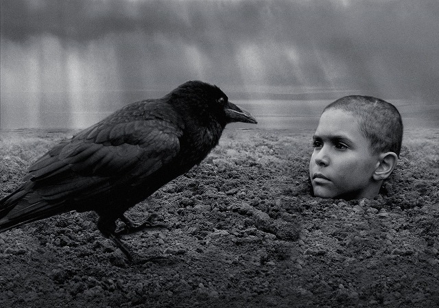 ホロコーストから逃れた少年が直面する過激な差別と迫害……「異端の鳥」特報入手 - 画像3