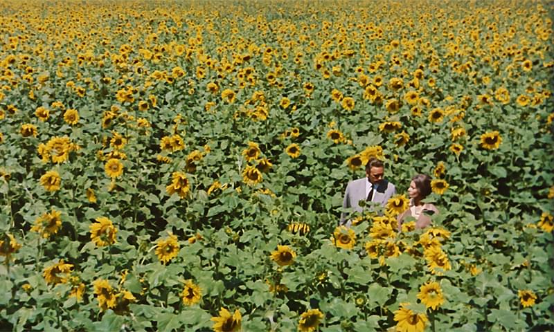 公開から50年 鮮やかによみがえる悲恋 ひまわり Hdレストア版予告編 映画ニュース 映画 Com