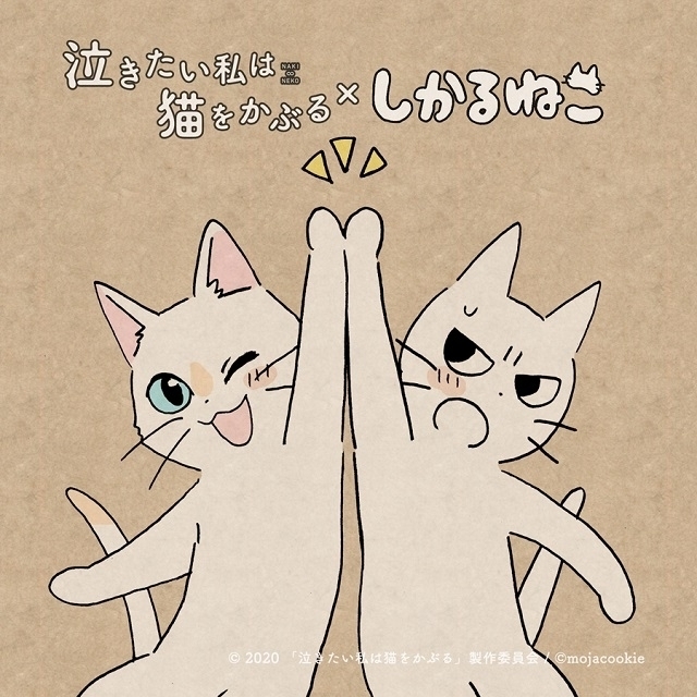 しかるねこ がnetflixアニメ 泣き猫 応援隊長に コラボイラスト公開