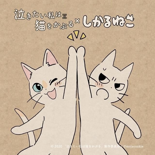 しかるねこ がnetflixアニメ 泣き猫 応援隊長に コラボイラスト公開 映画ニュース 映画 Com