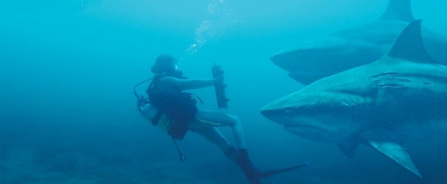 狂暴なサメの恐怖描く「ディープ・ブルー3」10月デジタル配信！ 蒼れいな、ハリウッドデビュー - 画像3