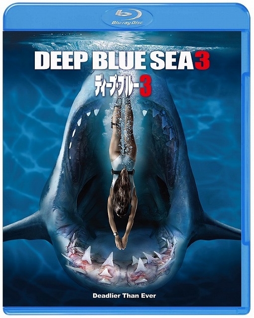 狂暴なサメの恐怖描く「ディープ・ブルー3」10月デジタル配信！ 蒼れいな、ハリウッドデビュー - 画像4