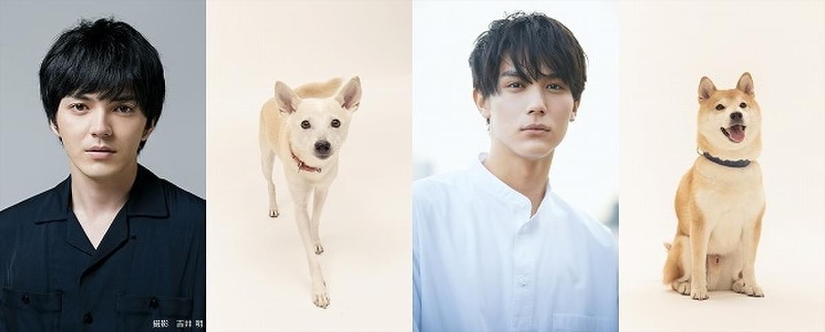 林遣都 中川大志が 犬バカ に 動物愛護サークルと獣医たちの活躍描く 犬部 21年公開 映画ニュース 映画 Com