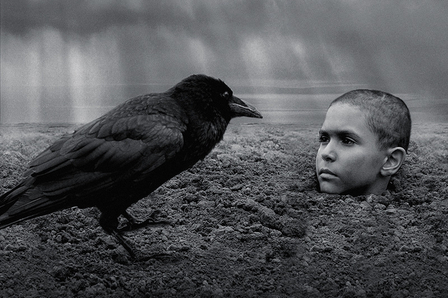 【「異端の鳥」評論】少年の受難と人間の罪をモノクロ映像美で描く、東欧映画の躍進を象徴する画期作