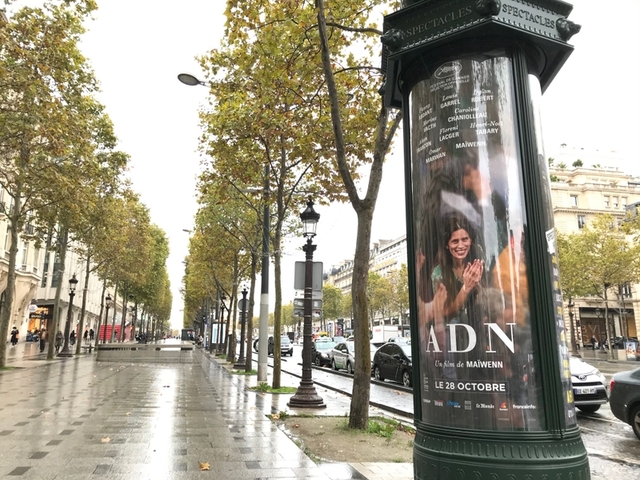 パリ発コラム 再びロックダウンのフランス 文化省は業界に37億円の援助を約束するも 劇場は閉鎖 映画ニュース 映画 Com