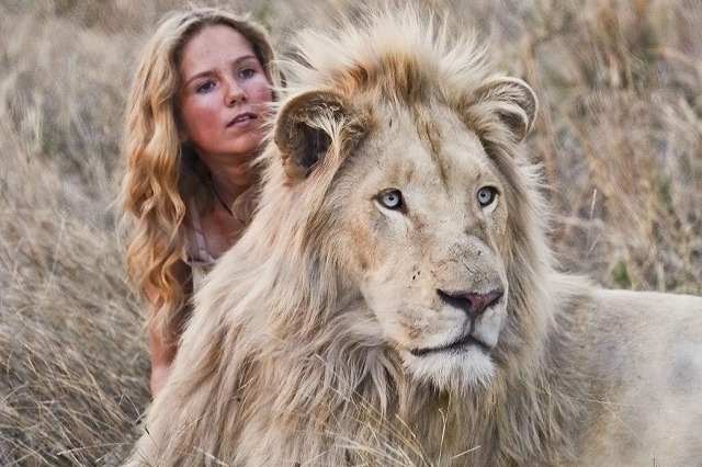主演女優がホワイトライオンと関係づくり 南アフリカの社会問題を描く物語 21年2月26日公開 映画ニュース 映画 Com