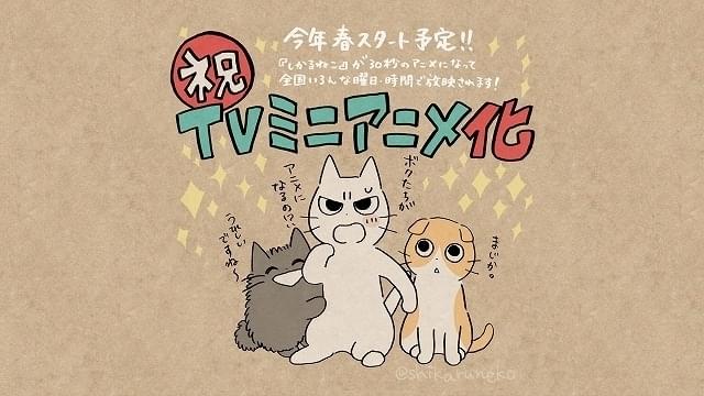 「しかるねこ」今春TVアニメ化 30秒のミニアニメ形式で放送