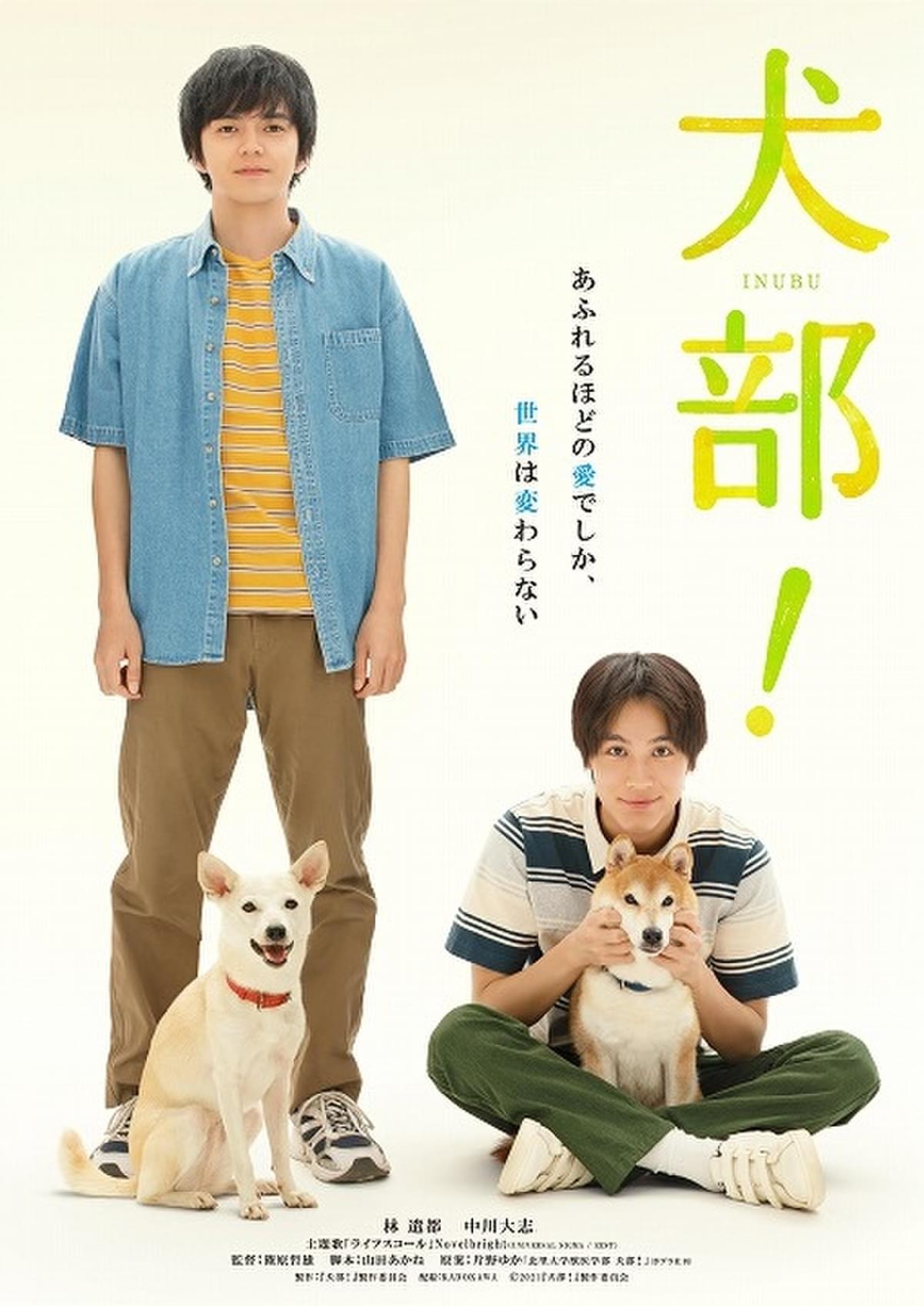 林遣都 中川大志 犬部 バディ との絆を感じさせるティザービジュアル 主題歌は Novelbright が書き下ろし 映画ニュース 映画 Com