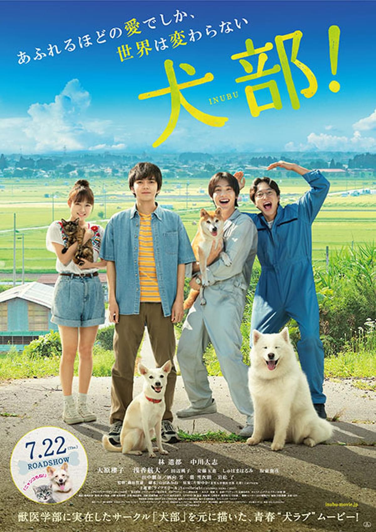 林遣都 中川大志 犬部 予告編が完成 Novelbright の書き下ろし主題歌も初披露 映画ニュース 映画 Com