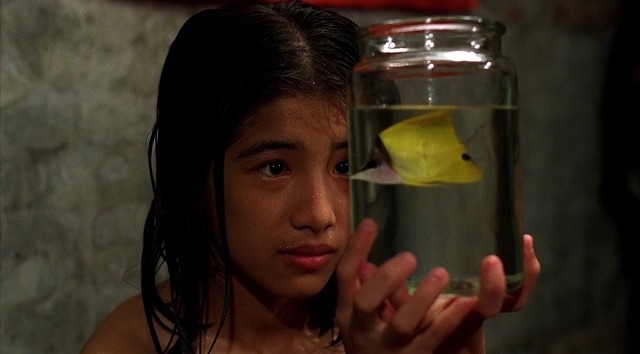 【「1秒先の彼女」公開記念】チェン・ユーシュン監督作「熱帯魚」「ラブゴーゴー」上映決定！ - 画像3