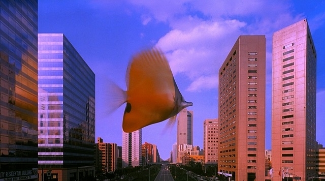 【「1秒先の彼女」公開記念】チェン・ユーシュン監督作「熱帯魚」「ラブゴーゴー」上映決定！ - 画像8
