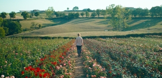 「ローズメイカー」監督が日本の映画ファンへメッセージ バラ園の季節の移ろい収めた本編映像も