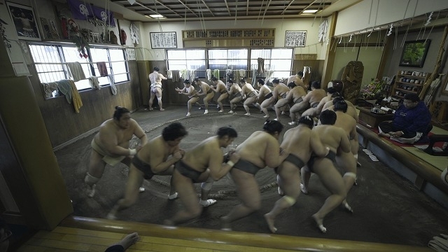 「相撲道 サムライを継ぐ者たち」