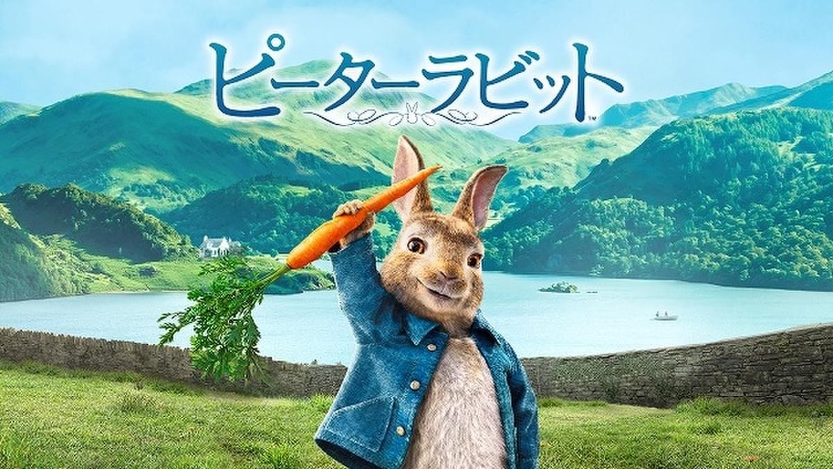 今夜放送 ピーターラビット は可愛いだけじゃない 注目ポイントを紹介 映画ニュース 映画 Com