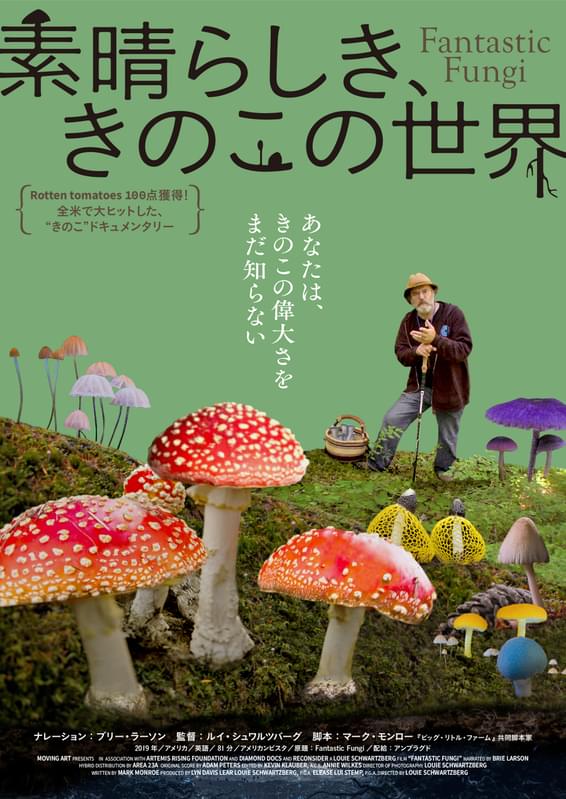 きのこと菌類の秘めたる力に迫る驚異のドキュメンタリー 素晴らしき きのこの世界 9月24日公開 映画ニュース 映画 Com