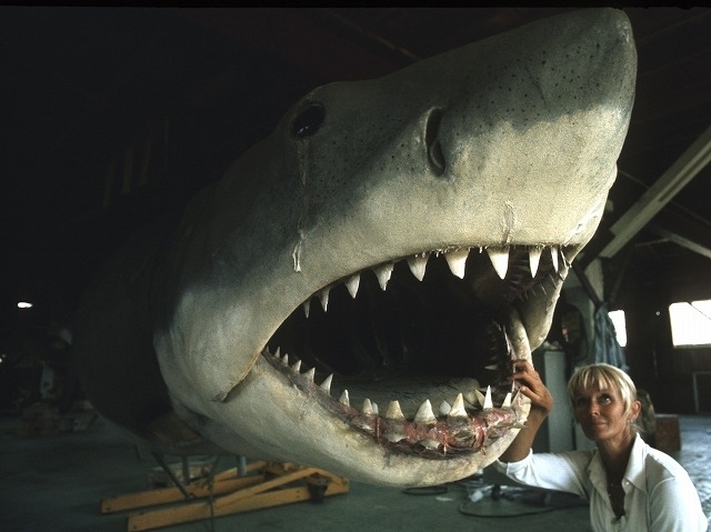 サメと遊ぶ 伝説のダイバーが語る ジョーズ の海洋撮影 素晴らしいサメのアクションがあった 映画ニュース 映画 Com