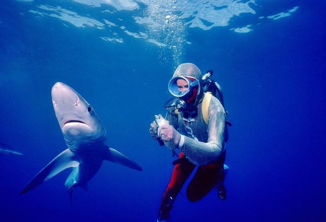 “サメと遊ぶ”伝説のダイバーが語る「ジョーズ」の海洋撮影「素晴らしいサメのアクションがあった」 - 画像11