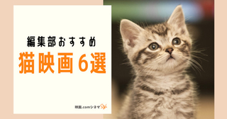 「猫の恩返し」放送記念 編集部のおすすめ猫映画6選 【映画.comシネマStyle】