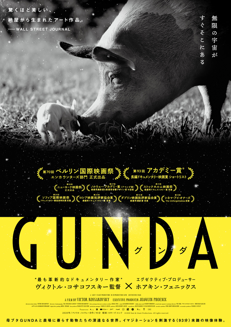 ホアキン・フェニックス製作ドキュメンタリー「GUNDA」予告、P・T・アンダーソン、アリ・アスターらのコメント公開