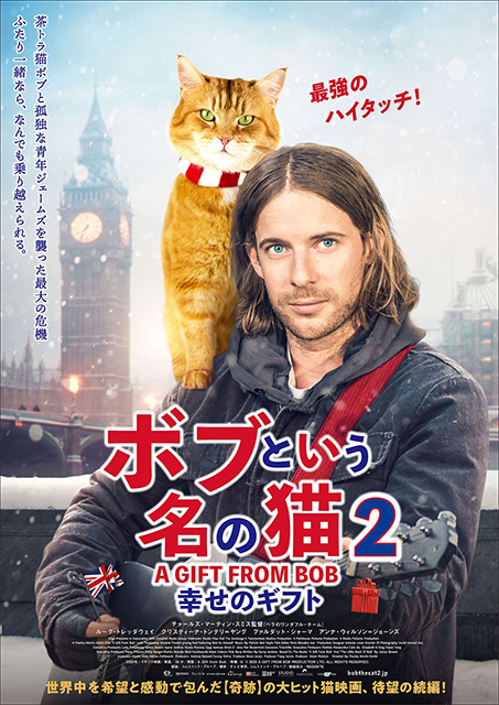 大ヒット猫映画の続編「ボブという名の猫2 幸せのギフト」22年2月25日公開！ ポスタービジュアル完成