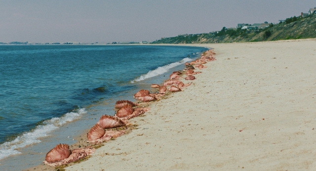 海岸に打ち上げられた不気味なネバネバに寄生される恐怖！ ホラー映画「ザ・ビーチ」1月14日公開 - 画像3