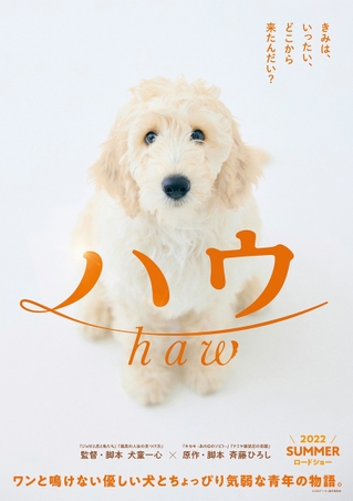 犬童一心監督最新作は、犬映画！ 脚本家・斉藤ひろし渾身の企画「ハウ」を映画化