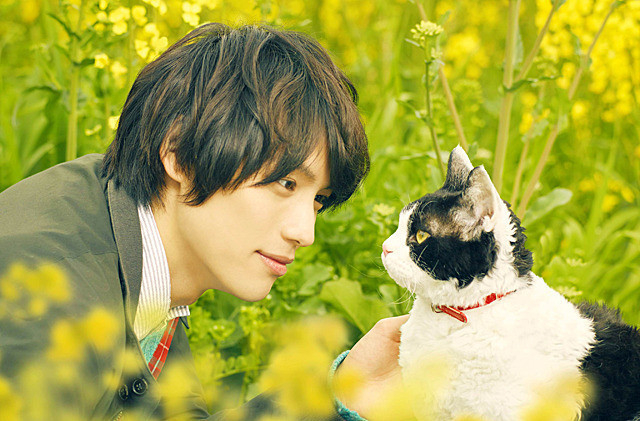 【今日もイケメン、明日もイケメン】2月22日は「猫の日」！　猫を愛するイケメンの映画＆ドラマ10選