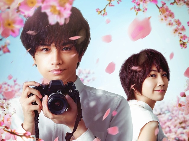 中島健人「恋愛は人を強くする」　松本穂香共演のNetflix映画「桜のような僕の恋人」特別映像