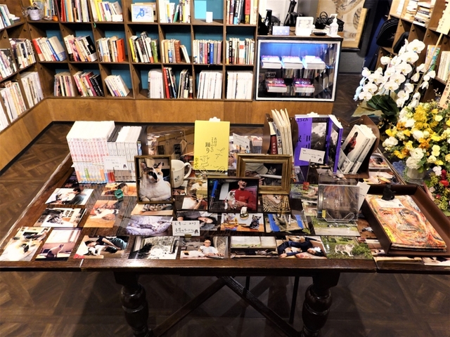 大島渚監督が生前愛読した蔵書約300冊、「大島渚文庫」としてシェア型書店「猫の本棚」に展示 - 画像5