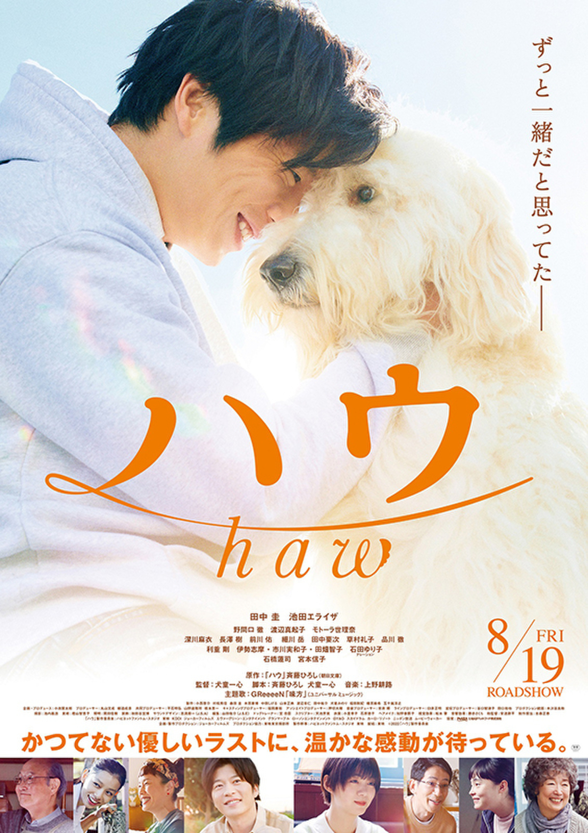 田中圭 出演 DVD 10本 バラ売り可能 - 日本映画