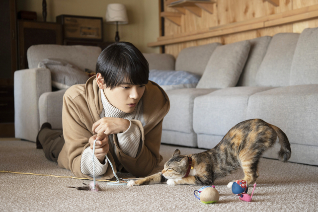 舞台は“猫付きシェアハウス”――猫が結んだ家族の物語 古川雄輝主演「劇場版 ねこ物件」特報＆場面写真 - 画像8