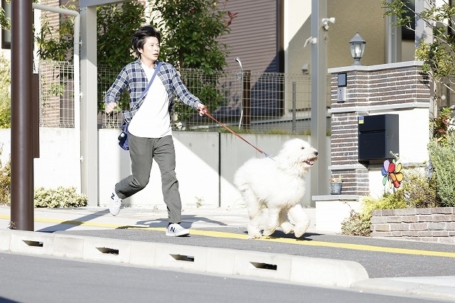 「CGに間違われないか心配」 田中圭「ハウ」俳優犬ベックが魅せた“名優級の演技” - 画像3
