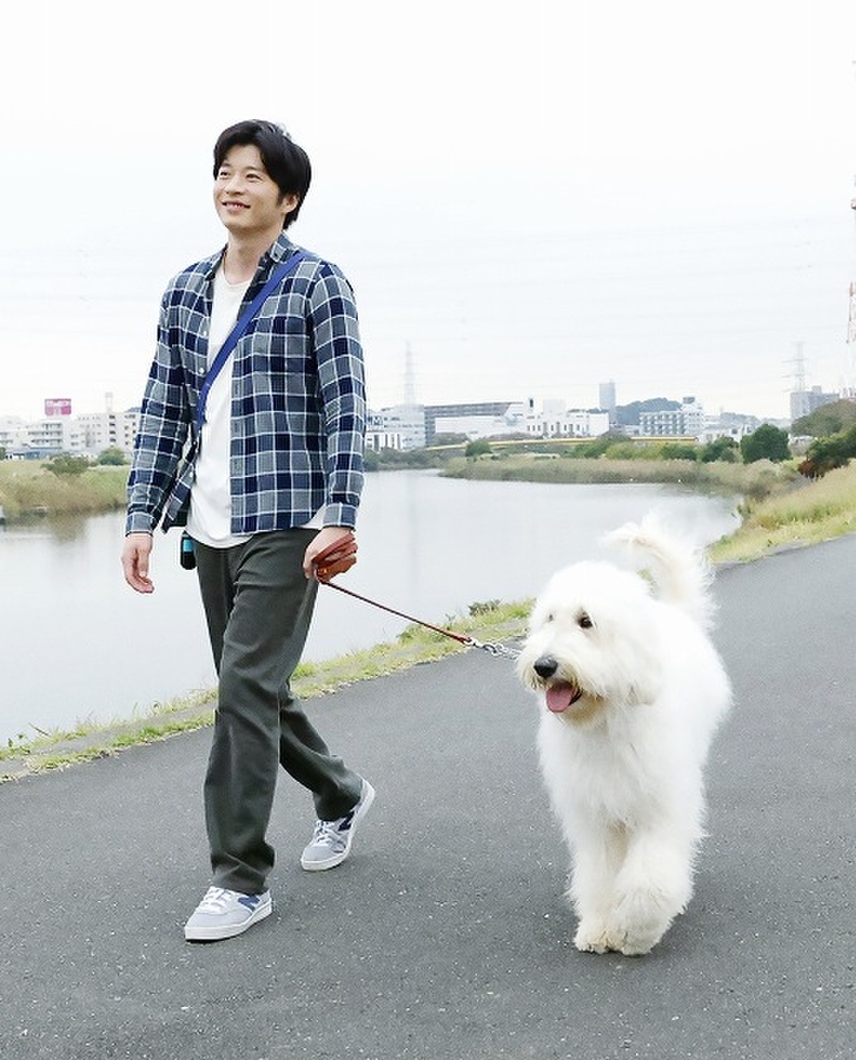CGに間違われないか心配」 田中圭「ハウ」俳優犬ベックが魅せた“名優級