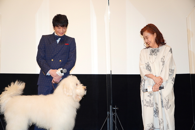 田中圭、“もう一度会いたい人”は犬好きだった「母ちゃん」