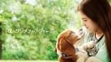 飼い主の少年と再び巡り会うため生まれ変わりを繰り返す犬の奮闘を描いた「僕のワンダフル・ライフ」の続編