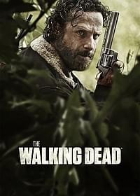 人気ドラマ「ウォーキング・デッド」