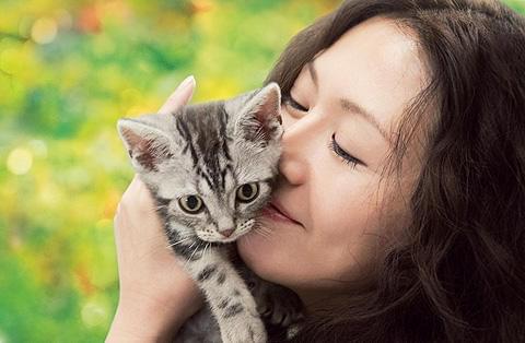 猫のいる生活を通して、命の生死を温かく見つめる