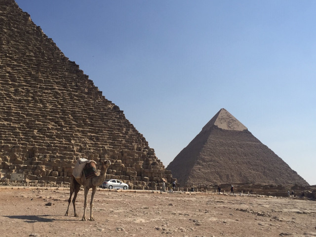 ピラミッドが登場しなくてもエジプト映画はインパクト大！