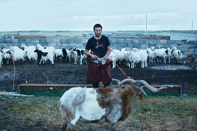 羊飼いと風船 から紐解く創作の心得 チベット映画の先駆者 ペマツェテンの実像に迫る どうなってるの 中国映画市場 映画 Com