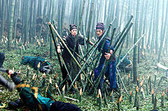 竹林での戦い