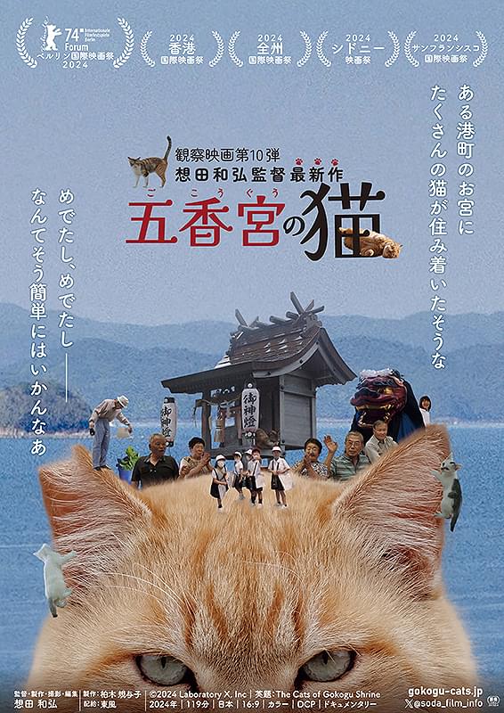 五香宮の猫