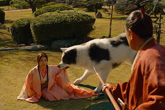 土屋太鳳の「八犬伝」の画像