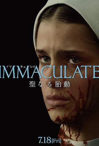 画像14
