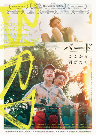 画像14